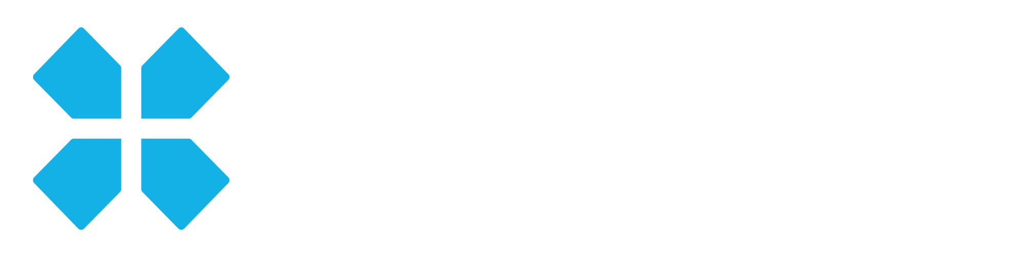 TSF Logo - Reverse 2480 x 628