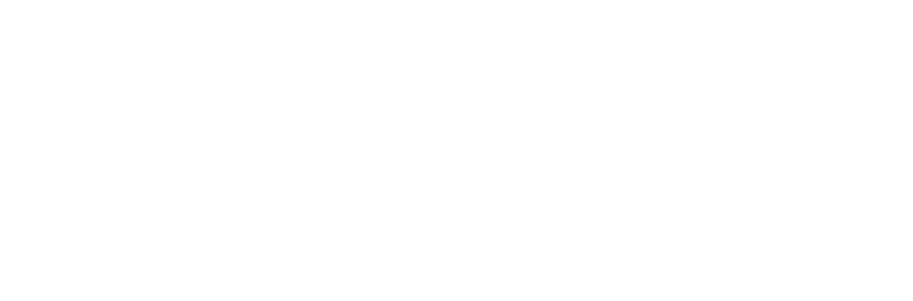 logo for the Selwyn Foundation